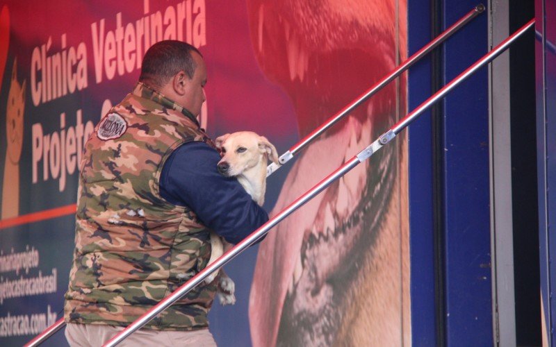 Ação atendeu a mais de 250 animais