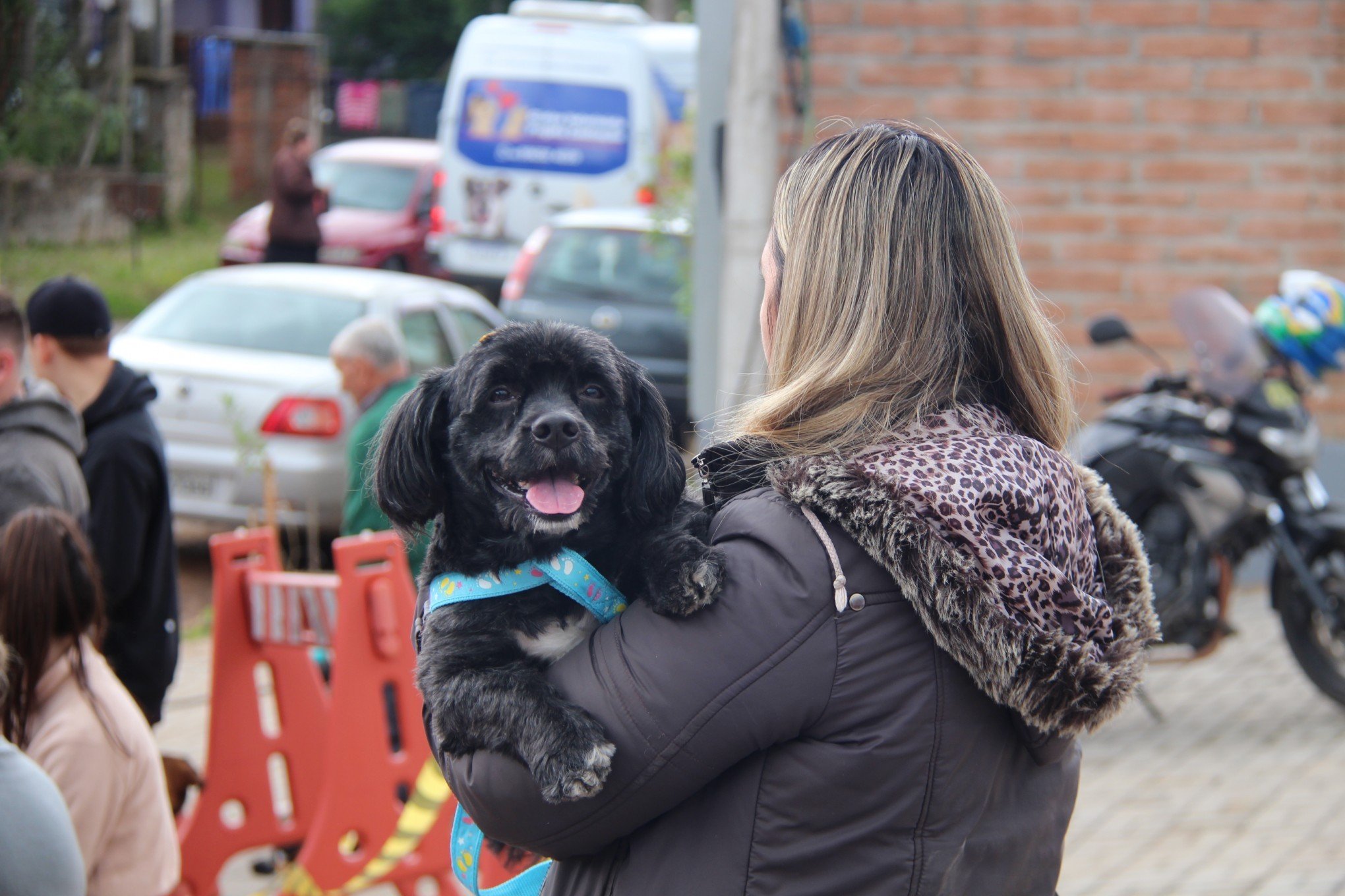 Mutirão de castração reúne centenas de tutores e pets em Sapiranga