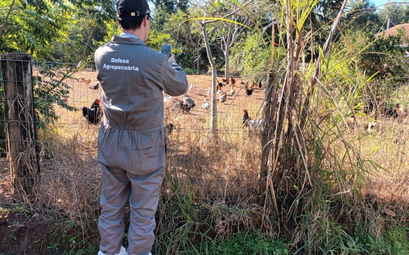 Agentes realizaram vistorias em propriedades rurais | abc+