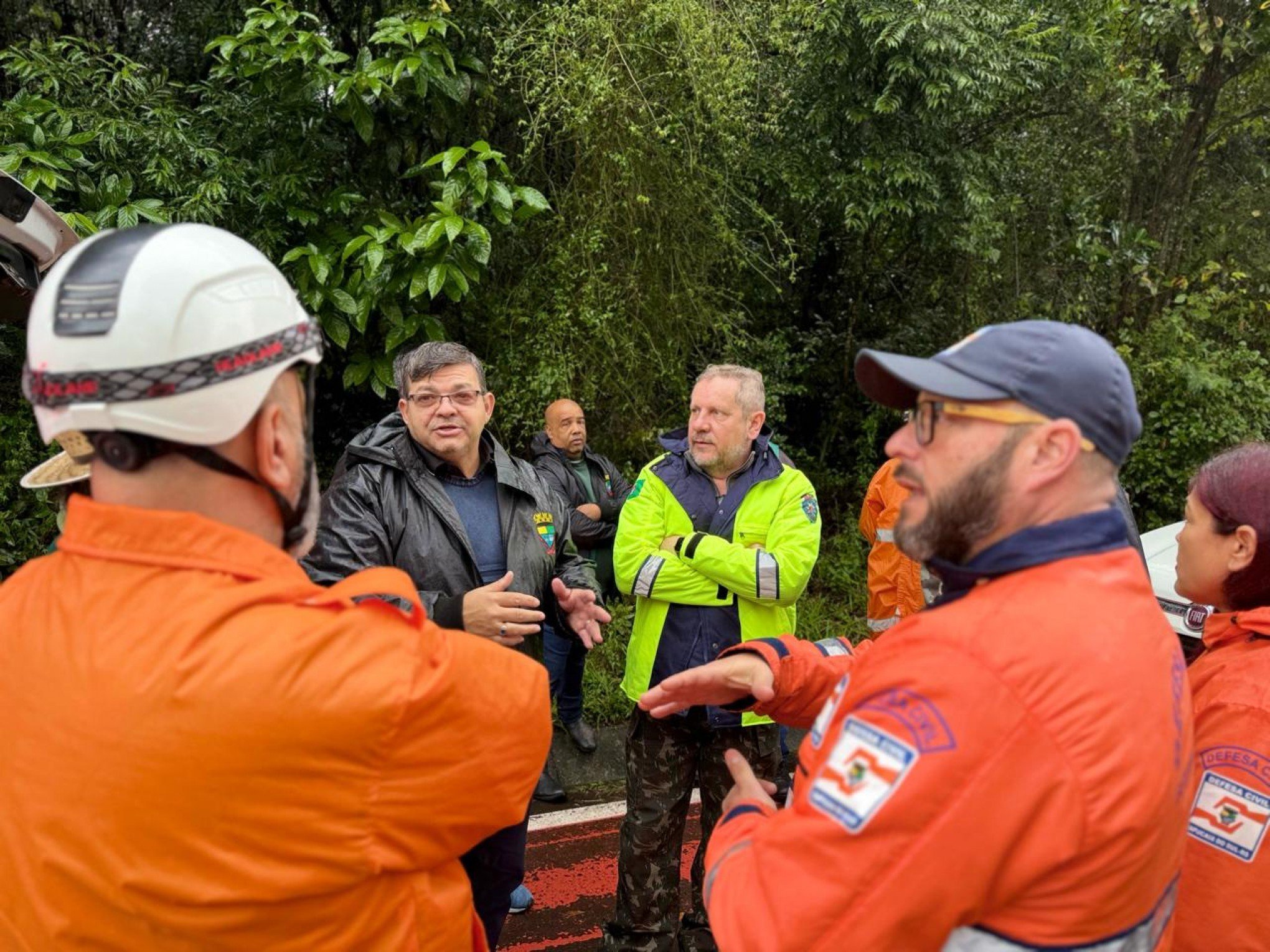 CHUVA NO RS: Prefeitos de cidades do Vale do Sinos planejam corte de árvores após morte de homem