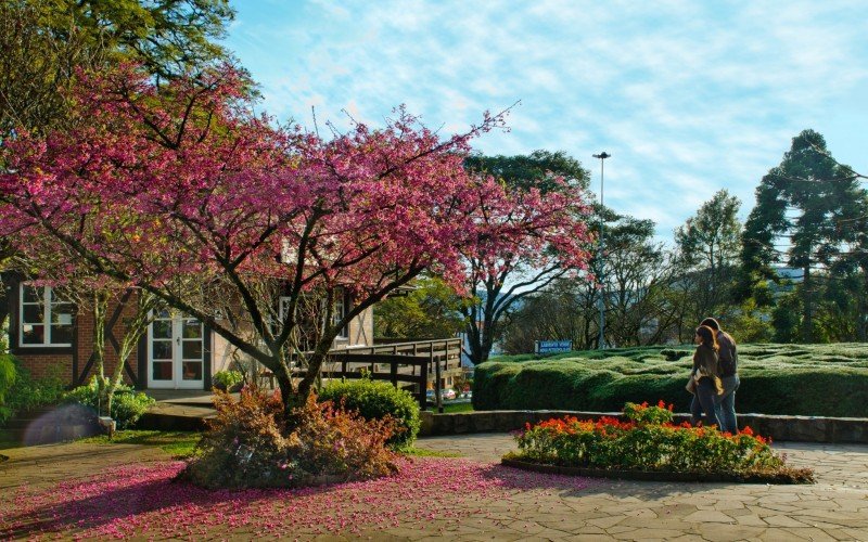 Praça das Flores, em Nova Petrópolis