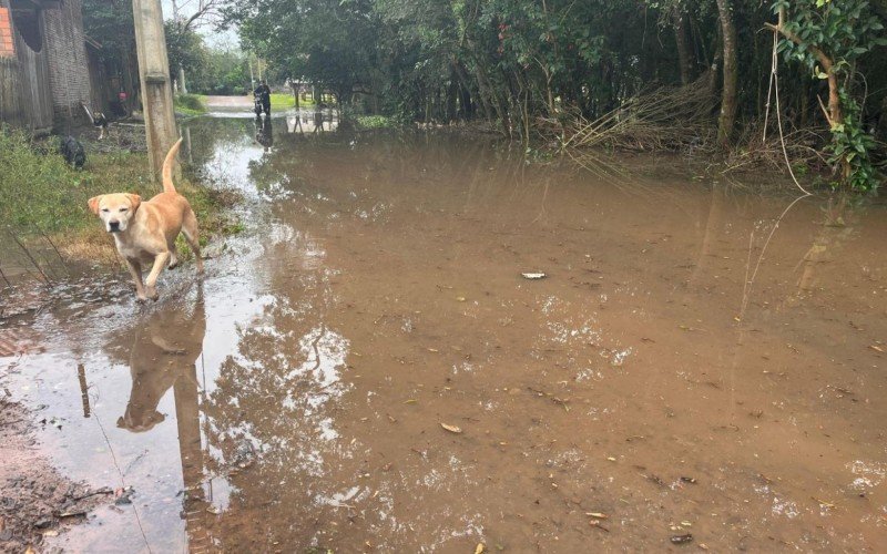 Áreas alagadas na Vila Integração, no bairro Lomba Grande, em Novo Hamburgo, na manhã deste sábado (21) | abc+