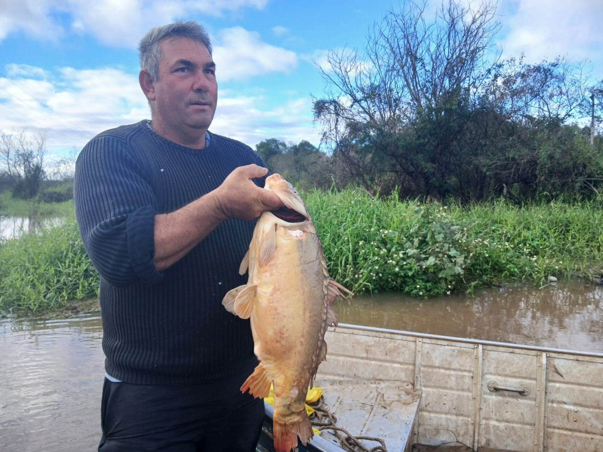 "Tá bom para pescar": Pescador fisga carpa com cinco quilos no Rio dos Sinos, em Canoas