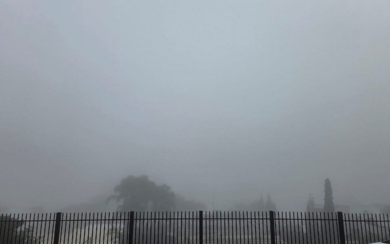 Região das hortênsias com muita neblina neste domingo | abc+