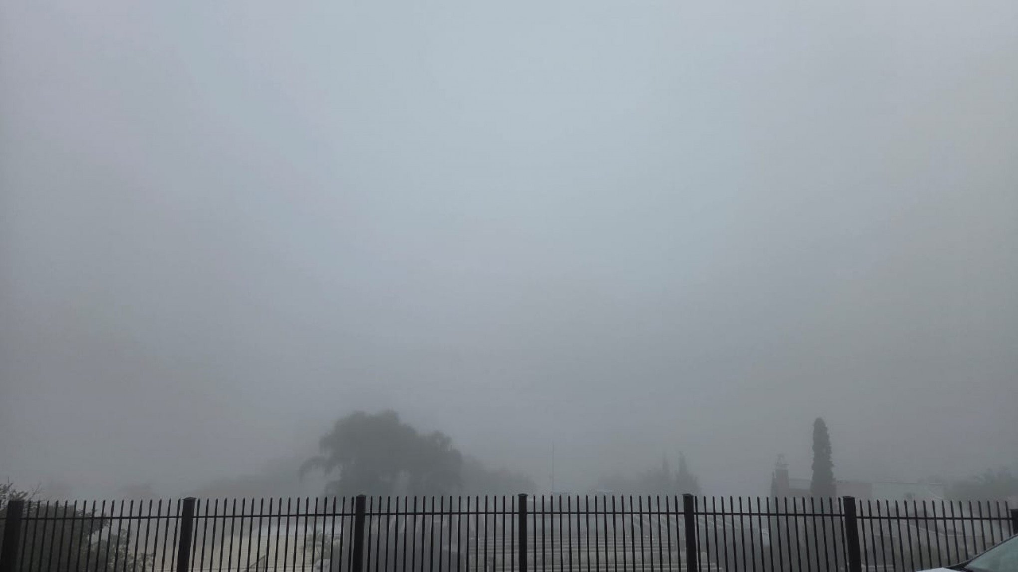 PREVISÃO DO TEMPO: Neblina, frio e sol antecipam chuva e temporal no RS neste domingo