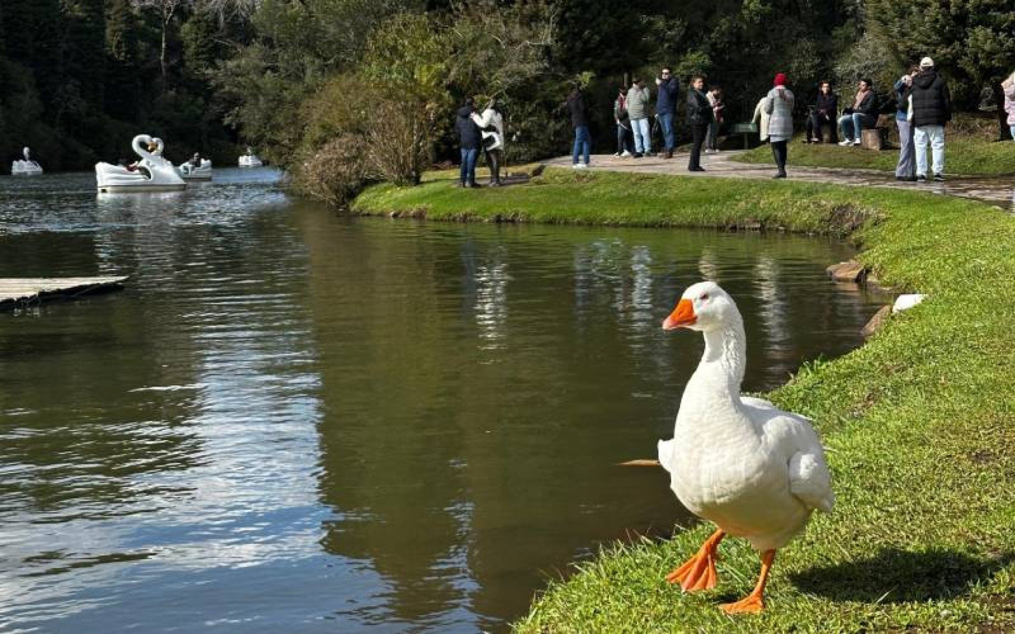 Gramado e Canela além do Natal: confira 5 dicas de locais a céu aberto para curtir as cidades no verão