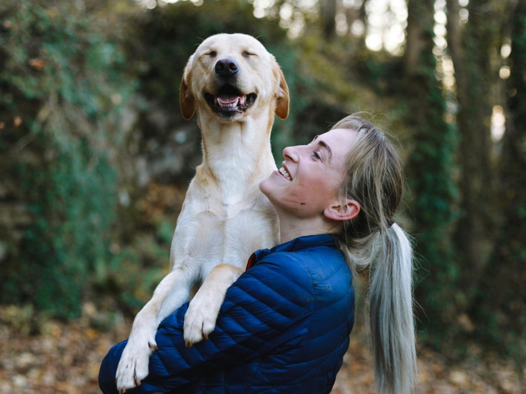 O que significa gostar mais de cachorros do que de gatos, segundo a psicologia