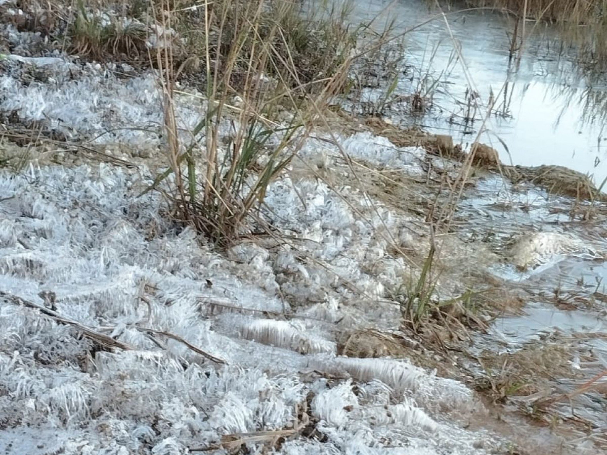Onda de frio intenso traz mínimas negativas e geada ao Rio Grande do Sul; saiba o que ainda está por vir