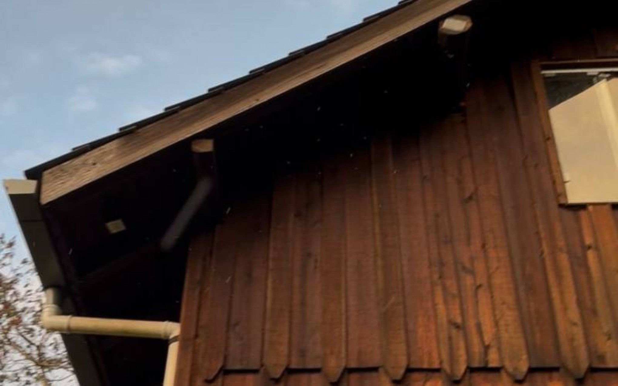 "Está nevando!":  Casal registra fenômeno congelante no interior de Gramado durante onda de frio no RS