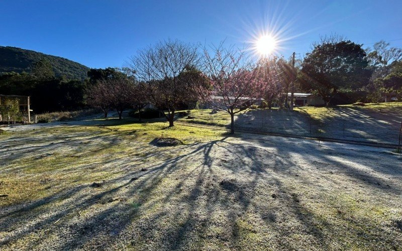 Geada em Santa Maria do Herval | abc+