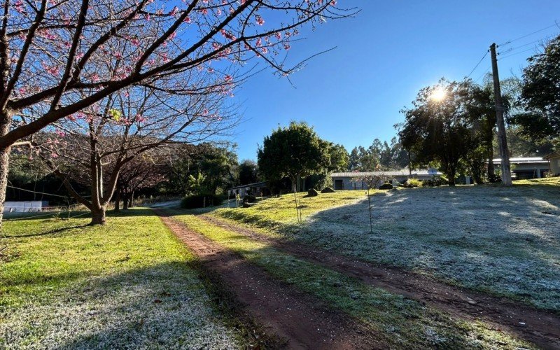 Geada em Santa Maria do Herval | abc+