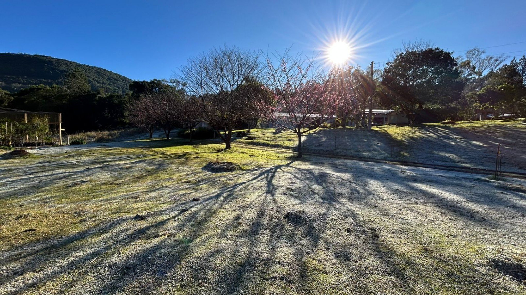 ONDA DE FRIO: "Por aqui é sempre muito gelado", relata morador de Santa Maria do Herval que registrou -3°C em termômetro