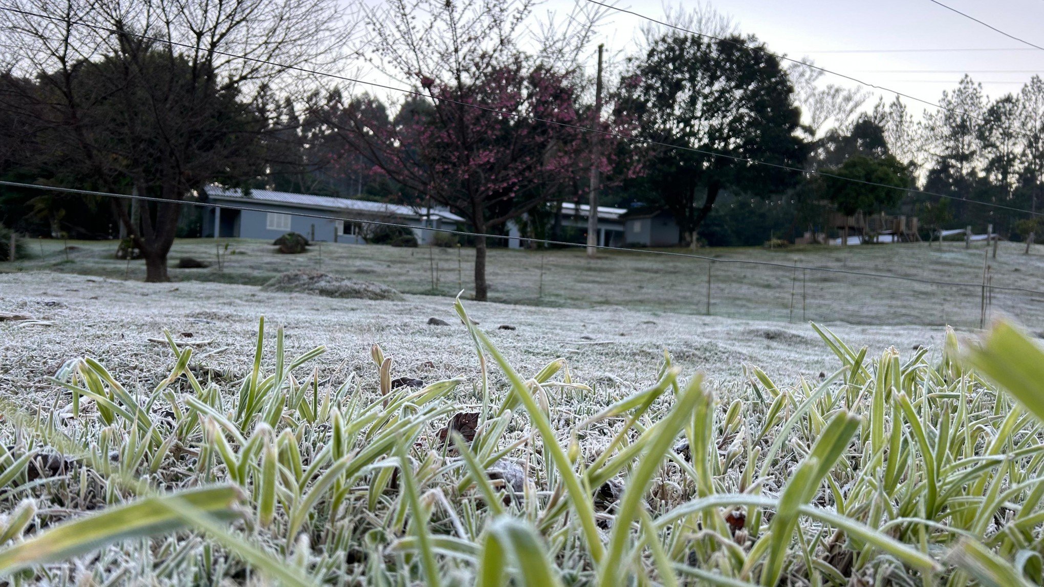 Último dia de julho será de frio intenso no RS com risco de geada; veja as regiões afetadas