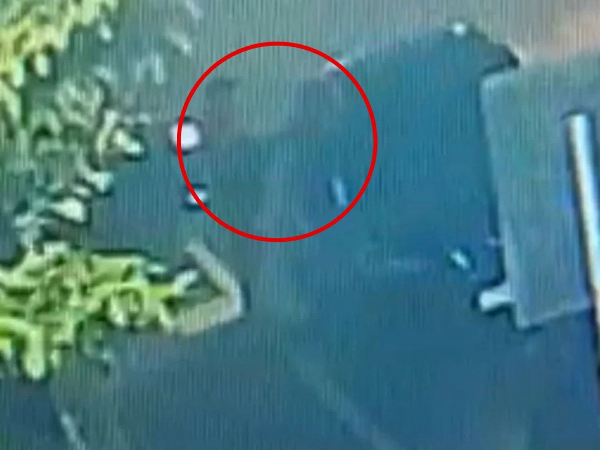 VÍDEO: "A gente não pode sair para comer um xis", lamenta advogada vítima de ladrões em Novo Hamburgo