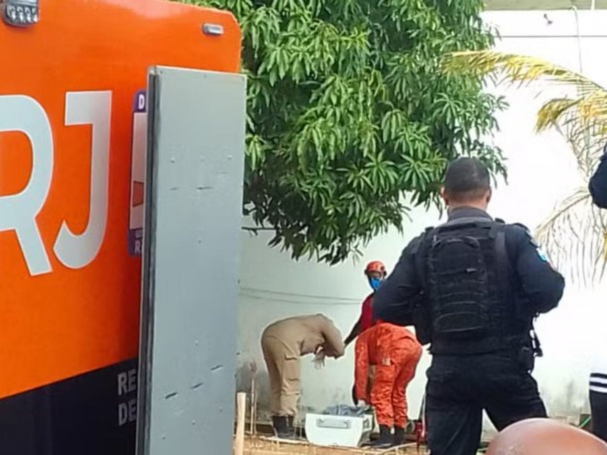Adolescente que matou pais e irmão de 3 anos: Por que o jovem assassinou a família