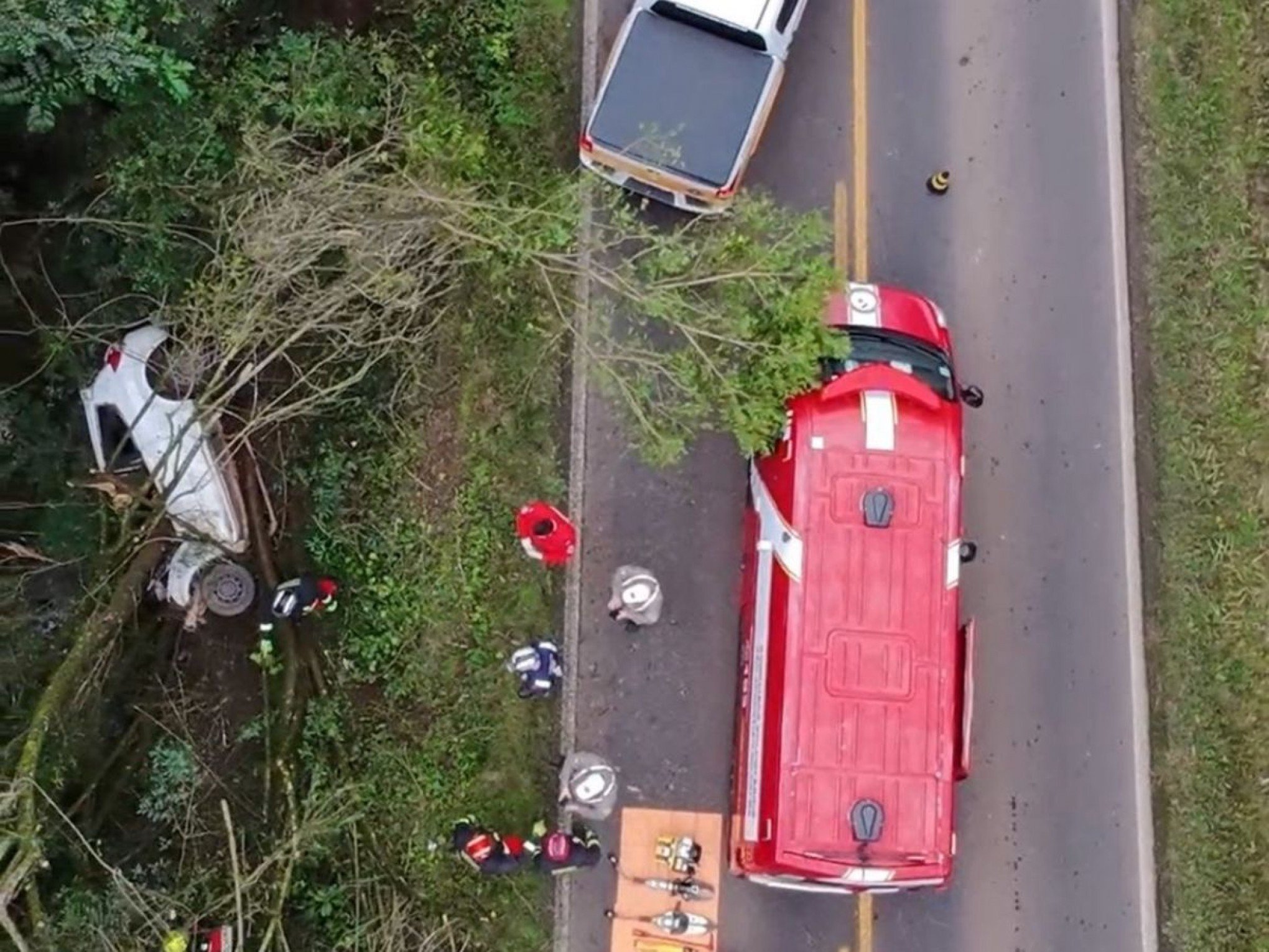 RS-124: Motorista morre após colidir carro contra árvore no Vale do Caí