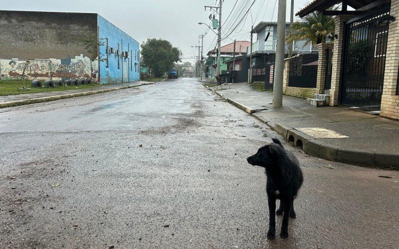Ruas do Loteamento Integração, em Novo Hamburgo, não registraram alagamentos apesar da chuva que caiu entre sábado e domingo | abc+