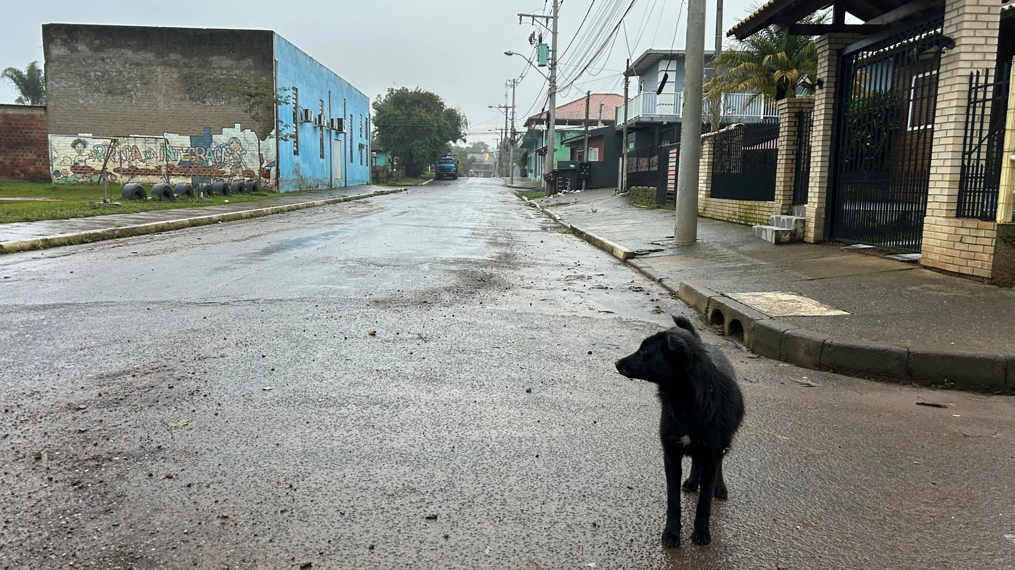 CHUVA NO RS: Nível do Rio dos Sinos se mantém estável após final de semana de chuva; saiba como está a situação em cada cidade