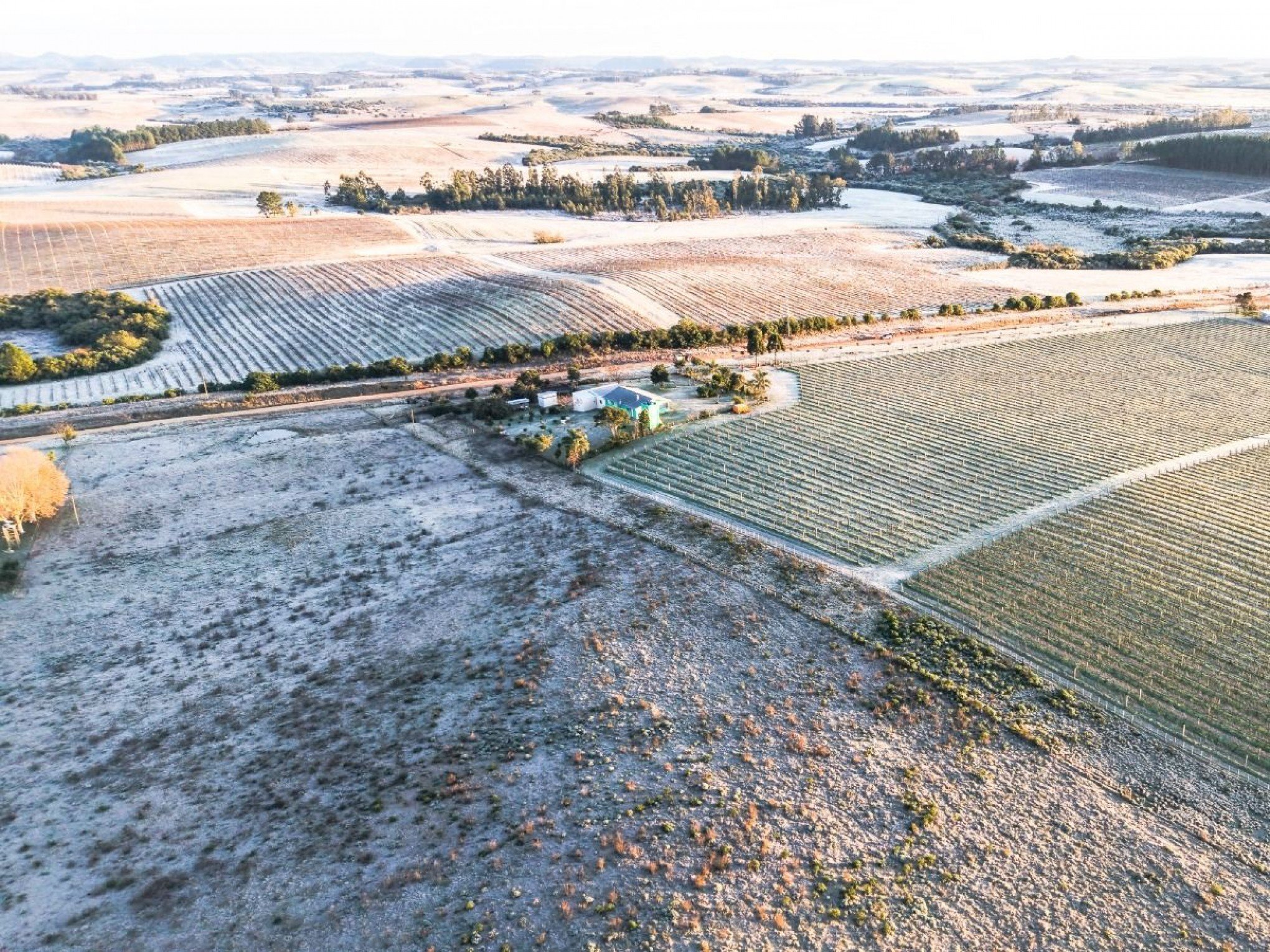 ONDA DE FRIO: Ciclone impulsiona ar gelado e prolonga período de temperaturas muito baixas no RS