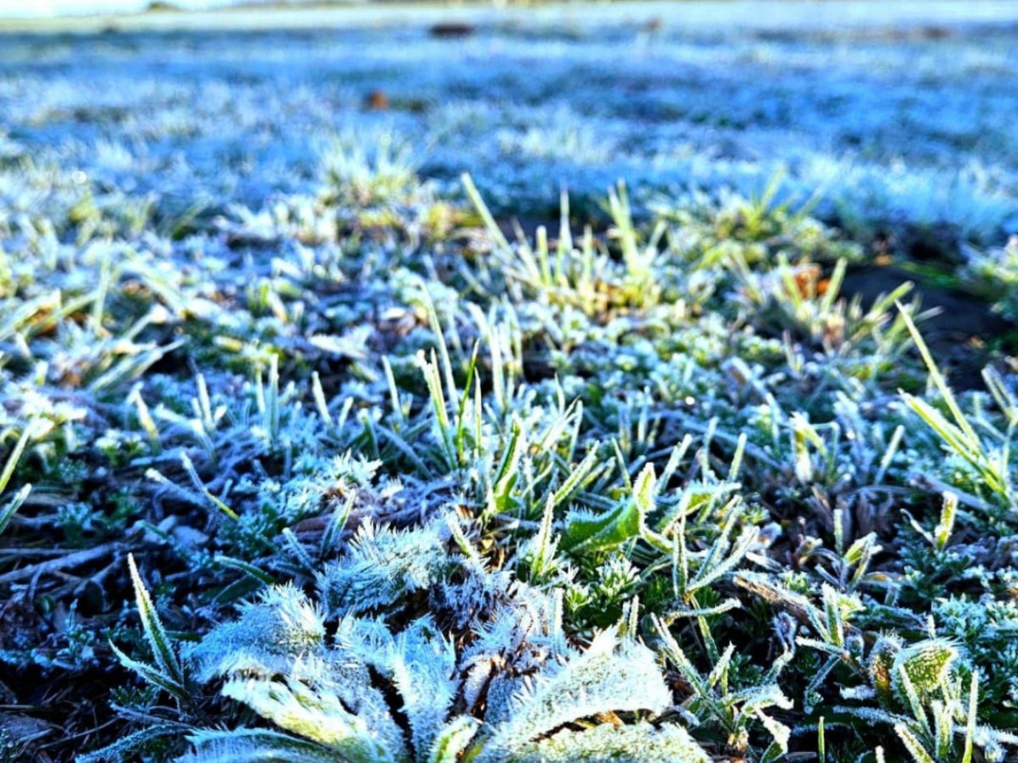 ONDA DE FRIO: Prepare-se para mais um amanhecer congelante; Inmet faz 4 alertas para o RS