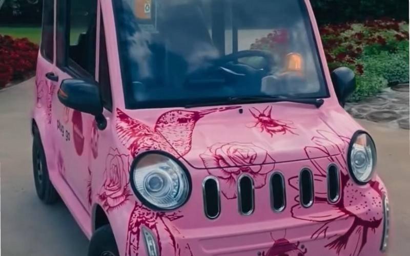 Serviço de locação de carrinhos elétricos foi suspenso no Mátria Parque de Flores, após acidente com mortes