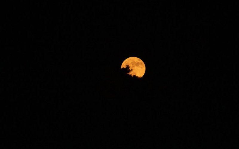 Blue Moon, lua de veado, lua de trovão | abc+
