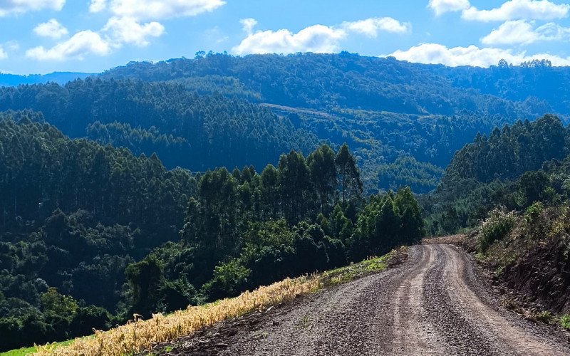 Rodrigo Santos aceitou o desafio de caminhar 156 km entre paisagens rurais