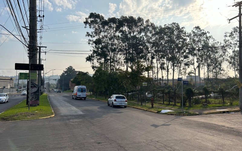 Eucaliptos da esquina da Sete de Setembro com a Vereador Adão Rodrigues foram derrubados | abc+