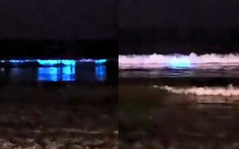 Ondas neon foram registradas na praia de Porto Belo, em Santa Catarina | abc+