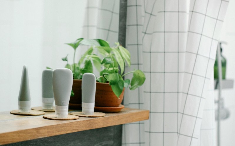 Se está pensando em decorar o banheiro, colocar um vaso de plantas pode ser uma boa ideia | abc+
