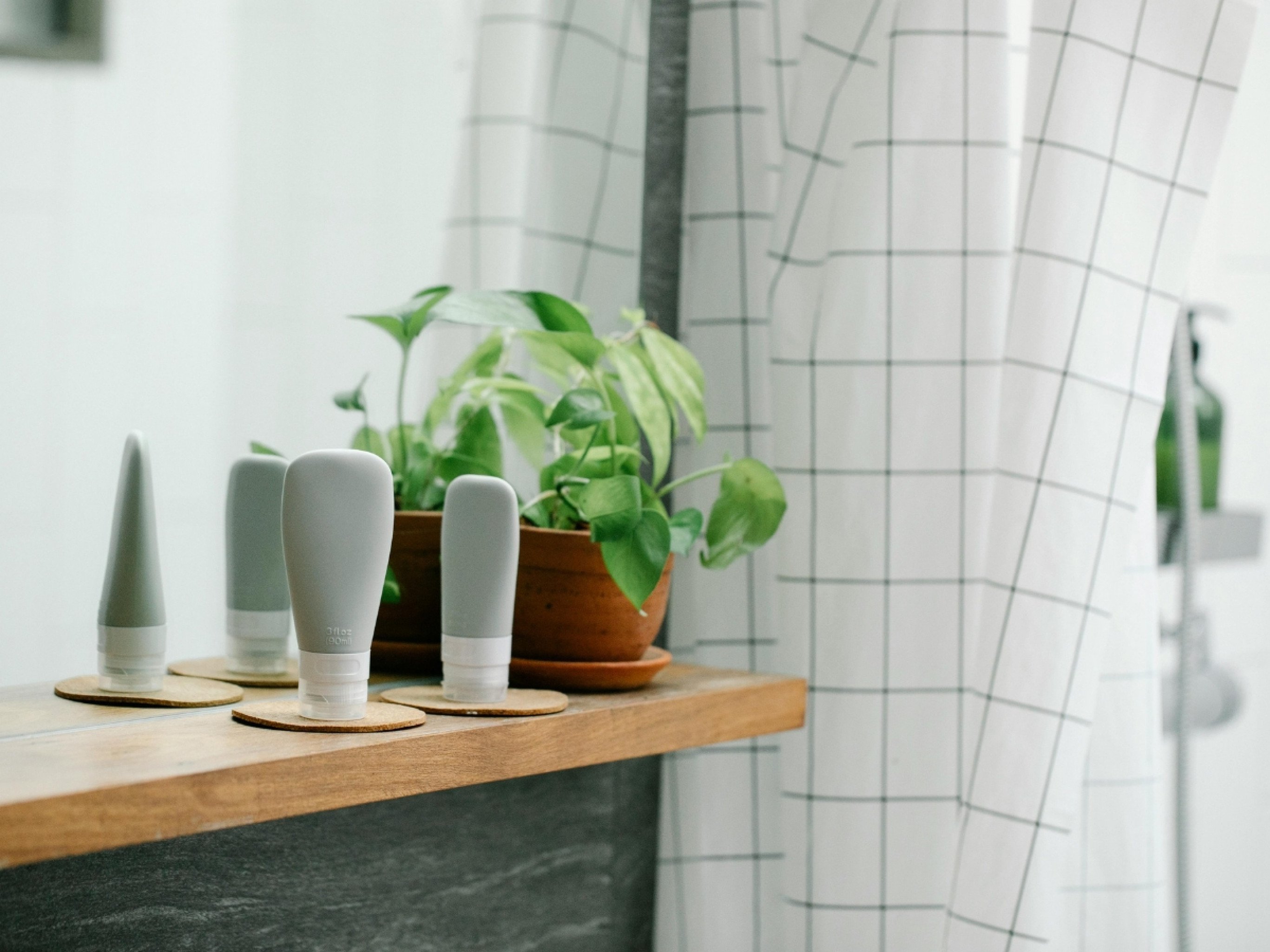 7 plantas perfeitas para ficar no banheiro e que precisam de pouca luz; saiba como escolher a ideal