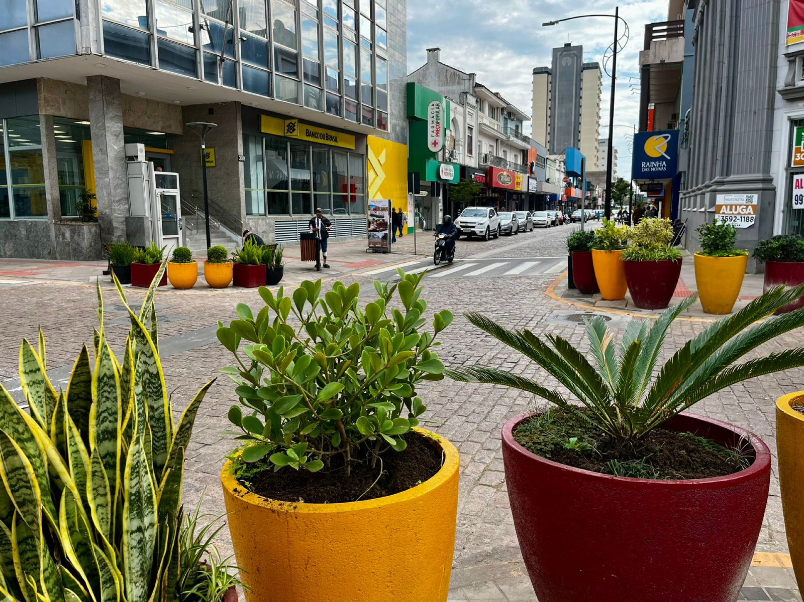 Evento Viva São Léo vai movimentar a Rua Independência neste sábado