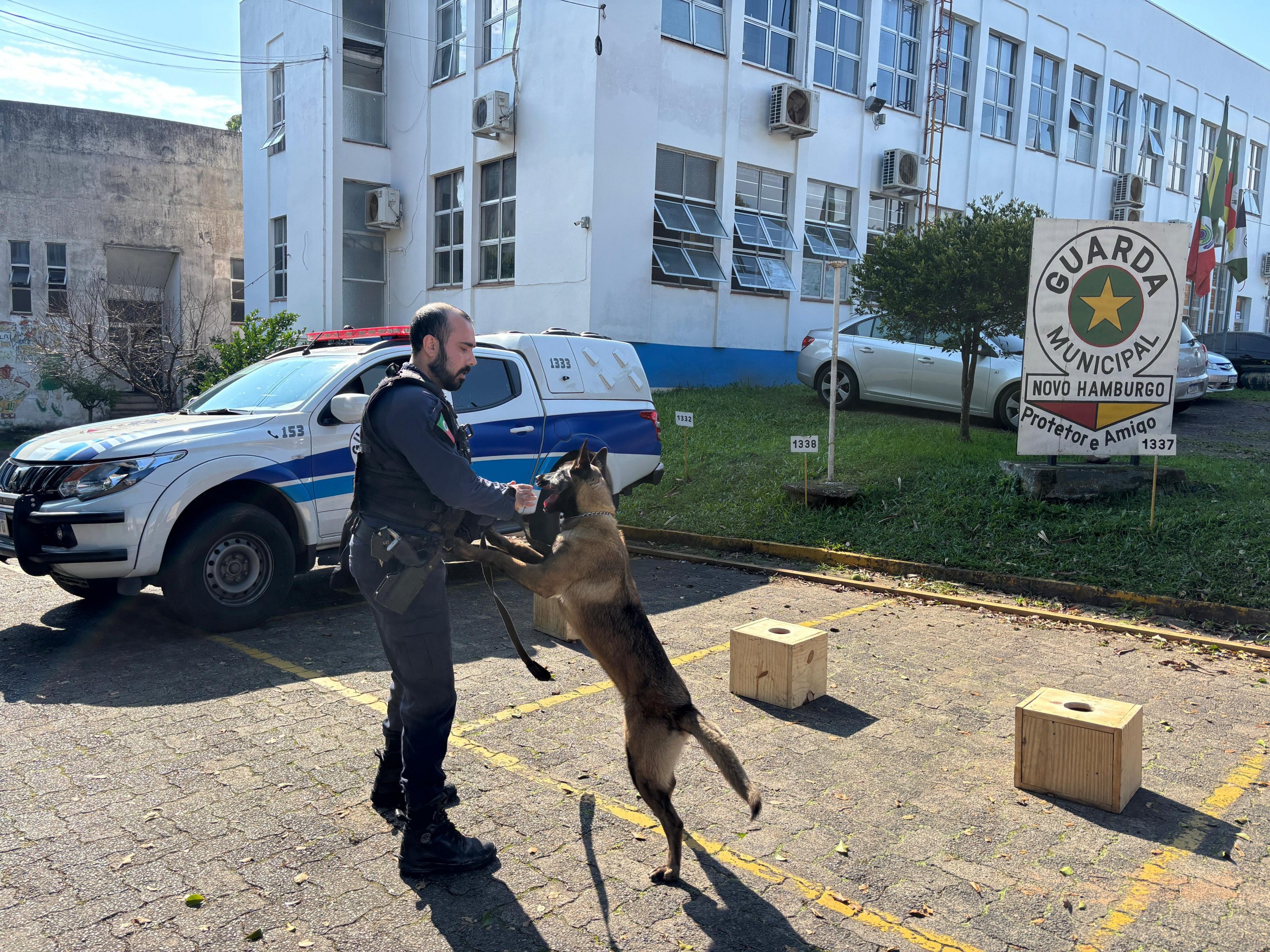 VÍDEO: Cães passam a integrar segurança de municípios da região