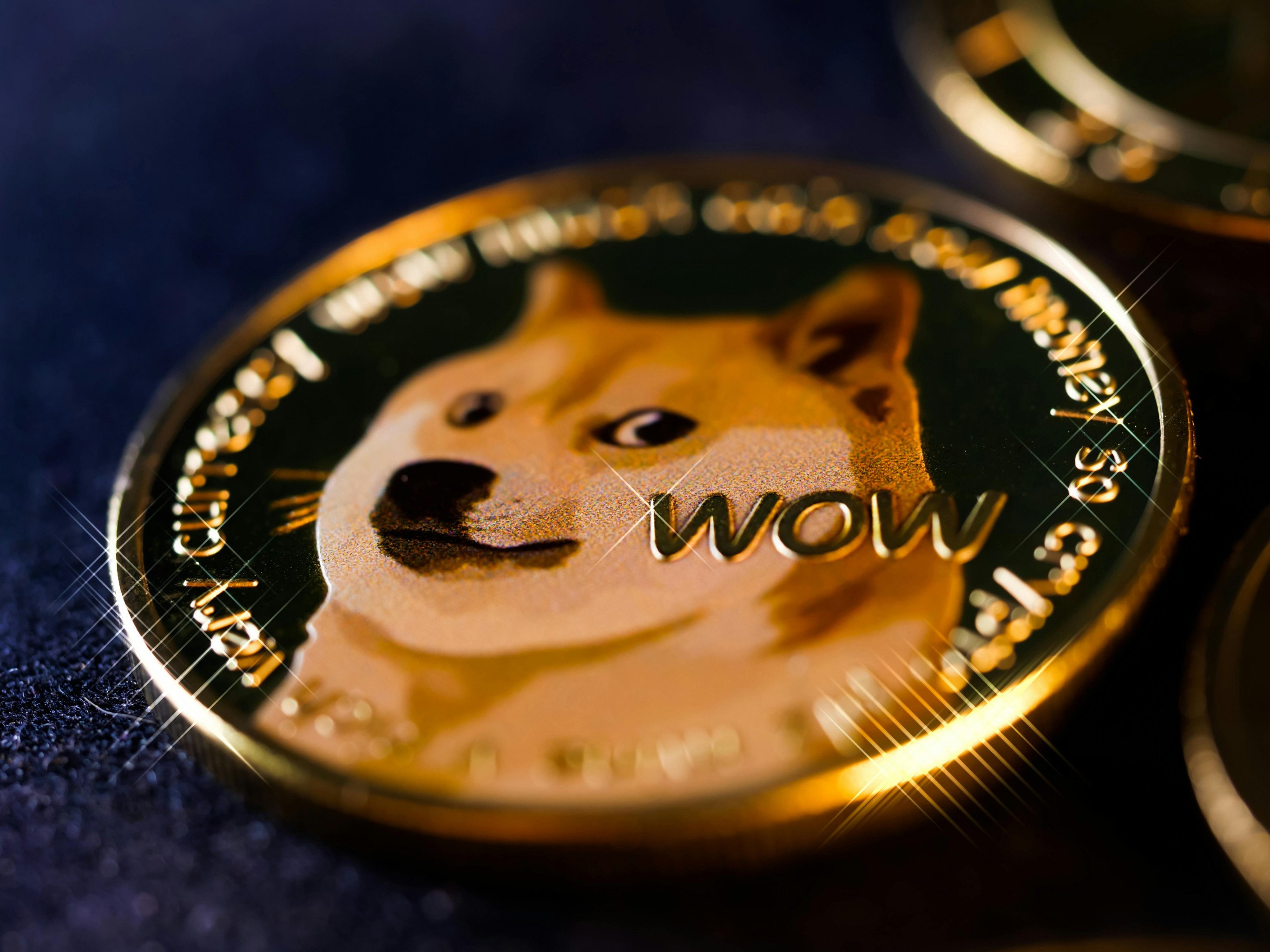 Criptomoedas virais em 2025: o caso do Baby Doge Coin | abc+