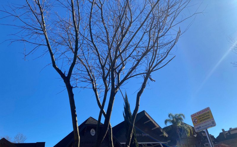 Sol, céu azul, ensolarado
