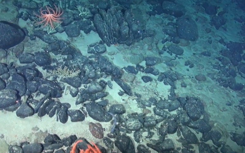 Atualmente, Elevação do Rio Grande Grande (ERG) está submerso no Atlântico Sul