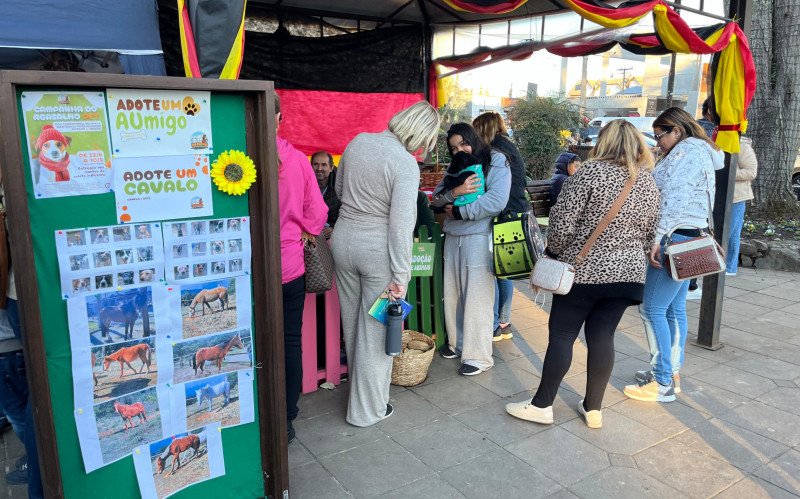 Cempra realiza mais duas edições da feira de adoção de animais na Festa Colonial