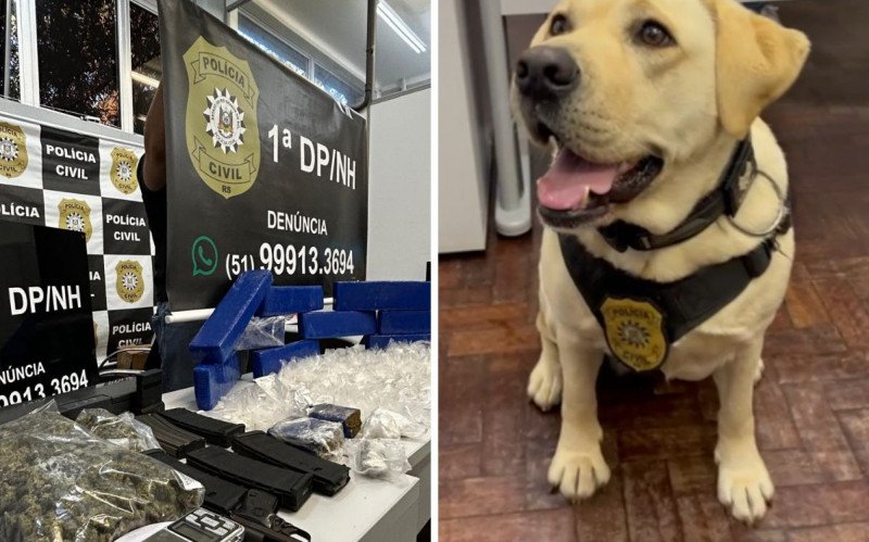 Mais um depósito de drogas e armas é descoberto em Novo Hamburgo com ajuda de cadela farejadora | abc+