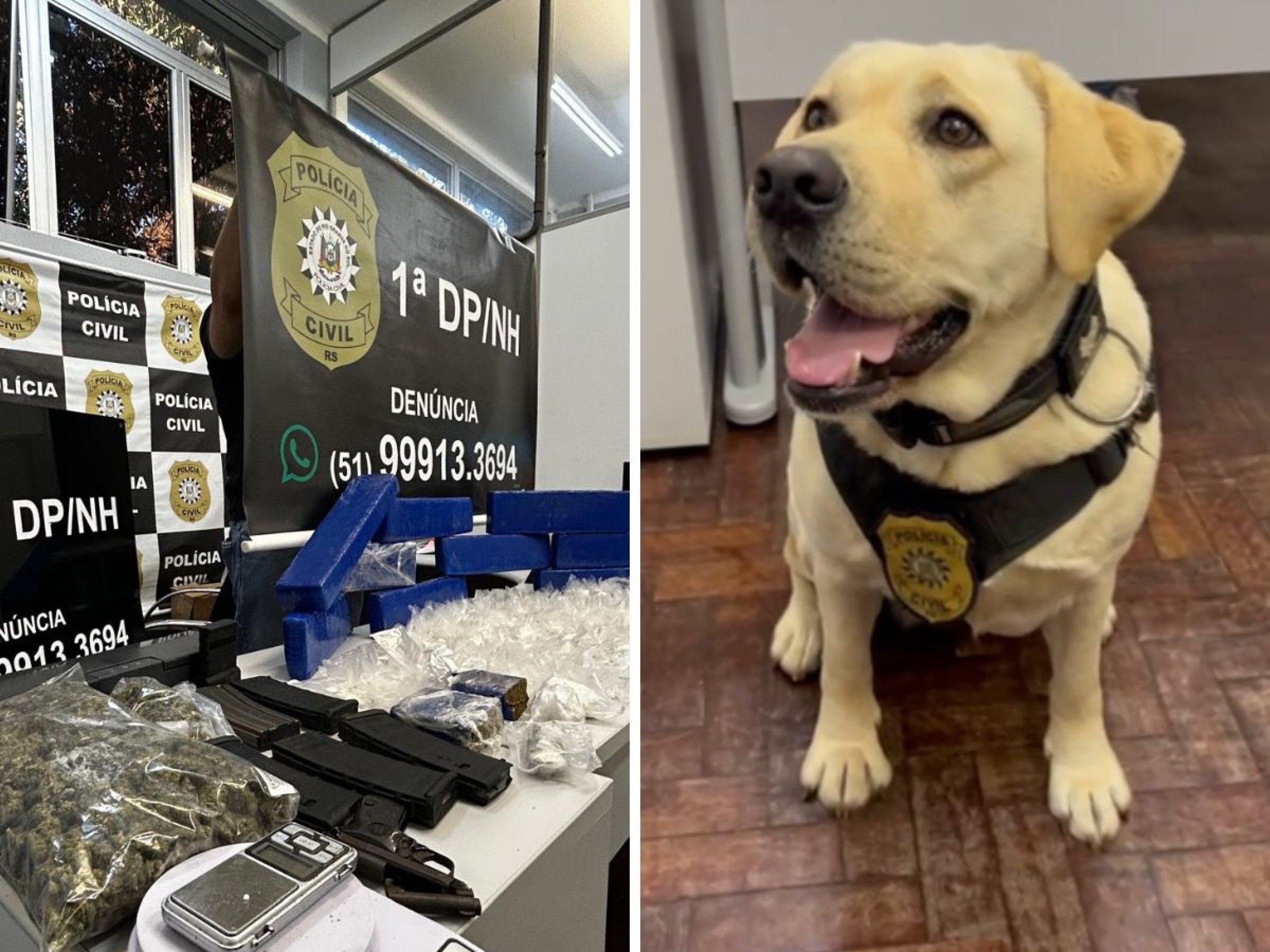 VÍDEO: Mais um depósito de drogas e armas é descoberto em Novo Hamburgo com ajuda de cadela farejadora
