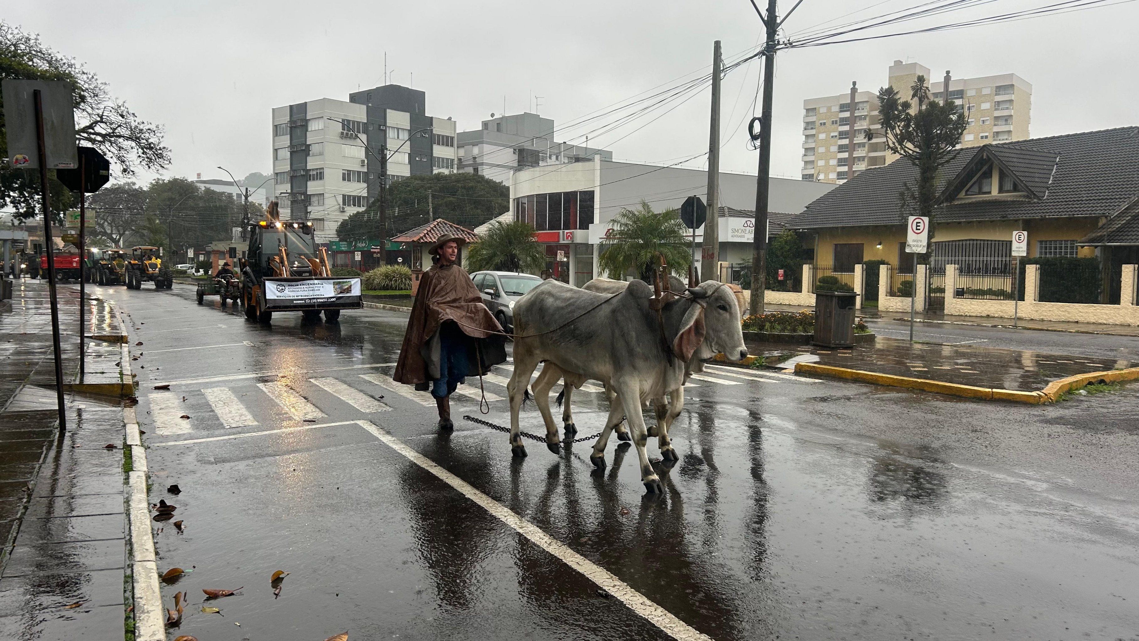 Desfile do colono abre programação da Ruralfest deste domingo; veja outras atrações