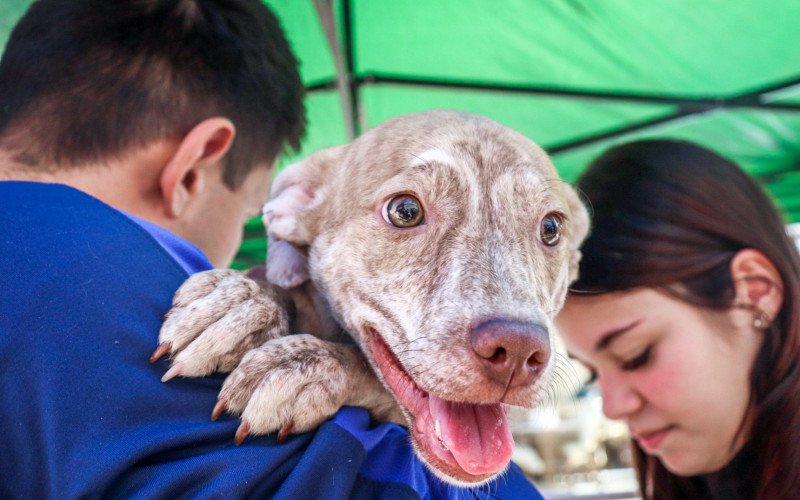 Praça dos Brinquedos recebe 2º Pet Day, em São Leopoldo