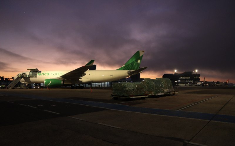 Aeronave &eacute; da Avianca Cargo e tem como destino final a cidade de Miami, nos EUA