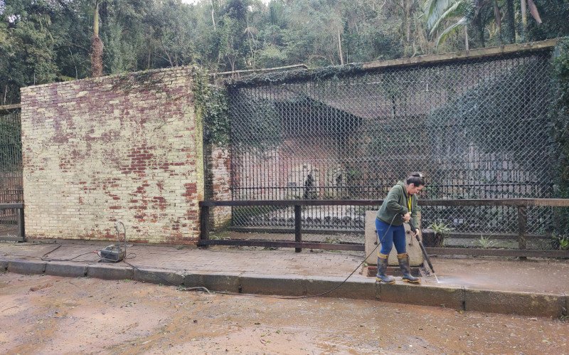 Colaboradores reforçaram manutenção no Parque Zoológico para a reabertura 