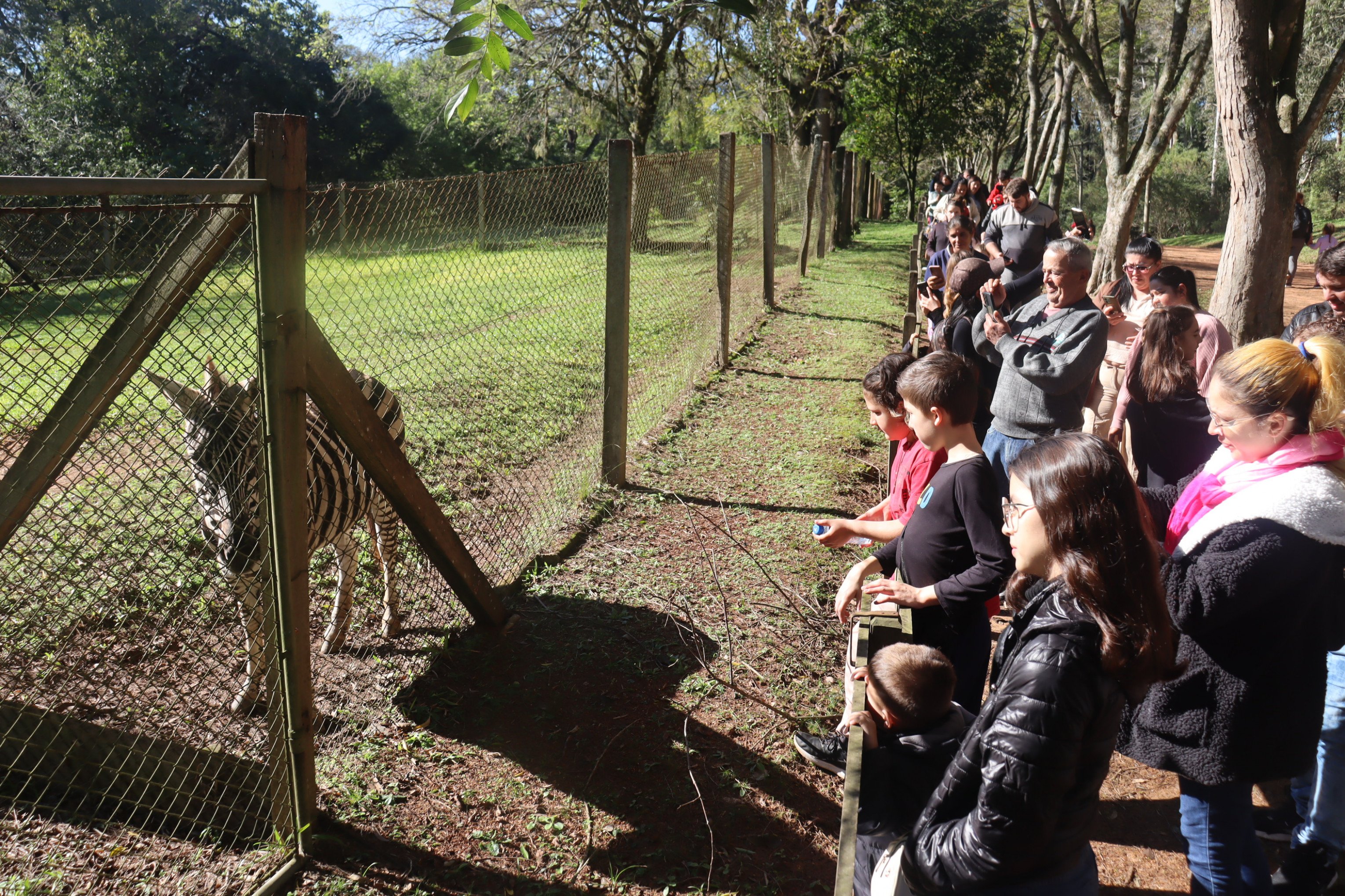 Reabertura do Zoológico de Sapucaia do Sul 
