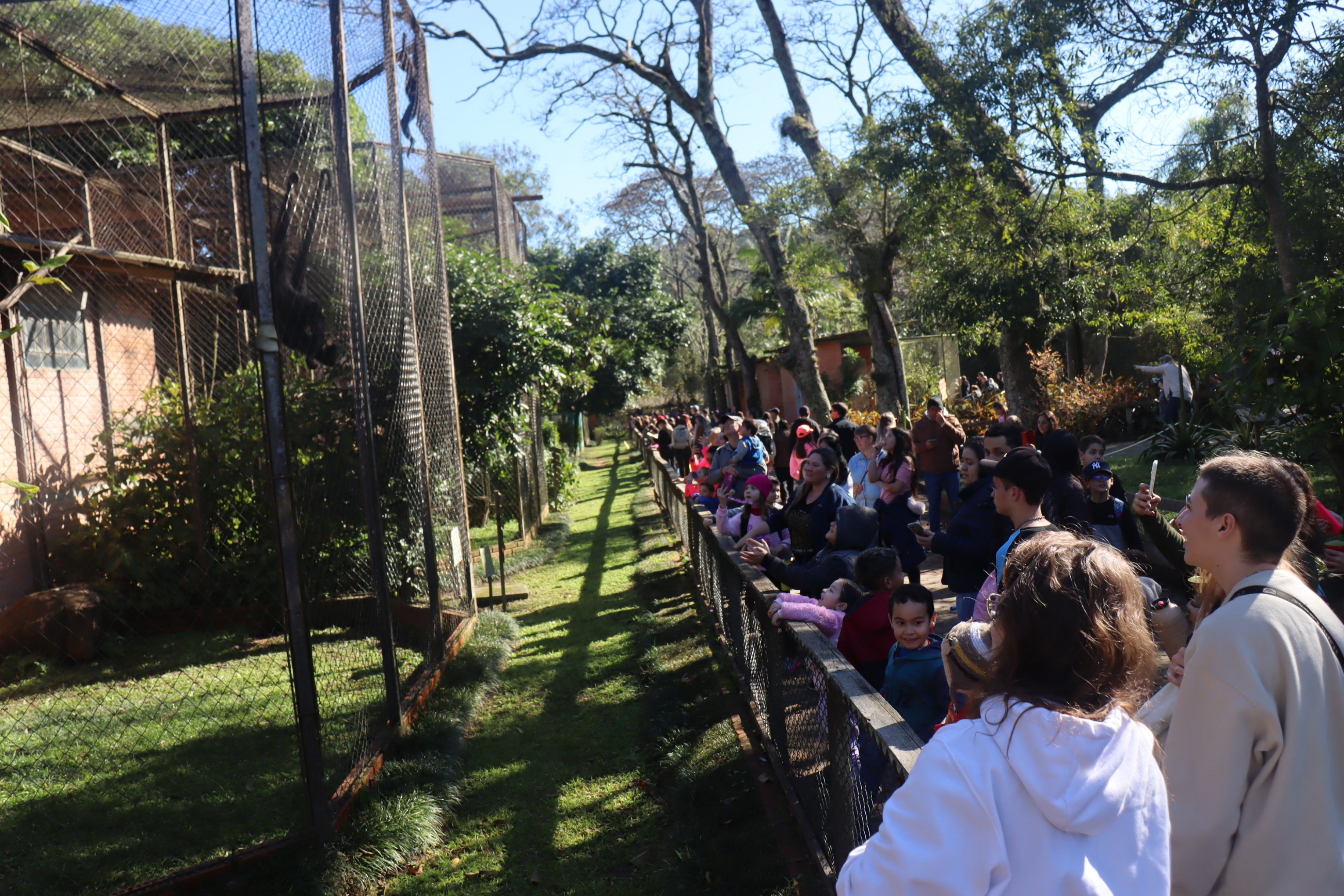 Pagamento por Pix passará a ser aceito para visitar o Zoológico de Sapucaia do Sul