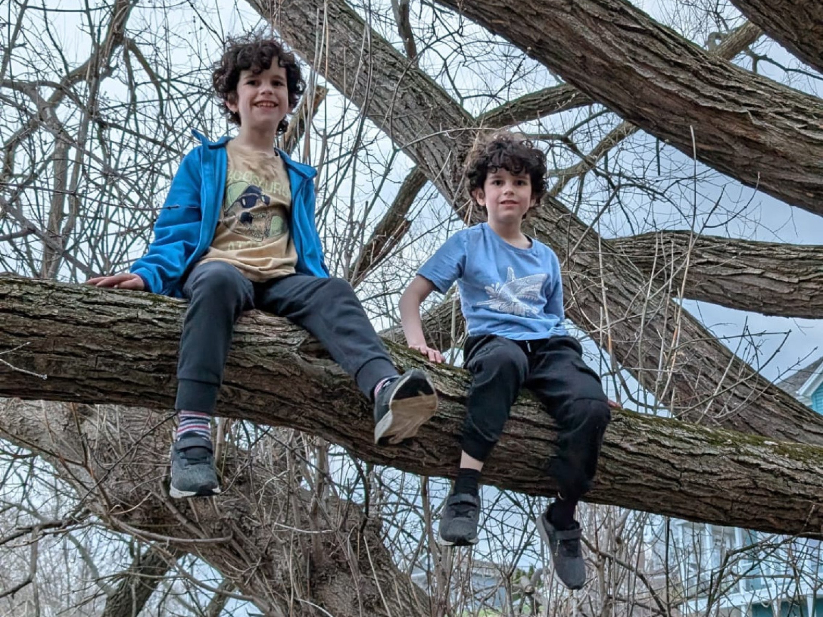 Thomas e Ian | abc+
