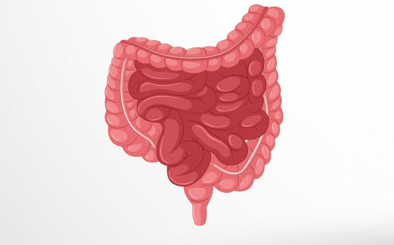 Gravidade do câncer de intestino está diretamente ligada ao estágio em que ele é diagnosticado | abc+