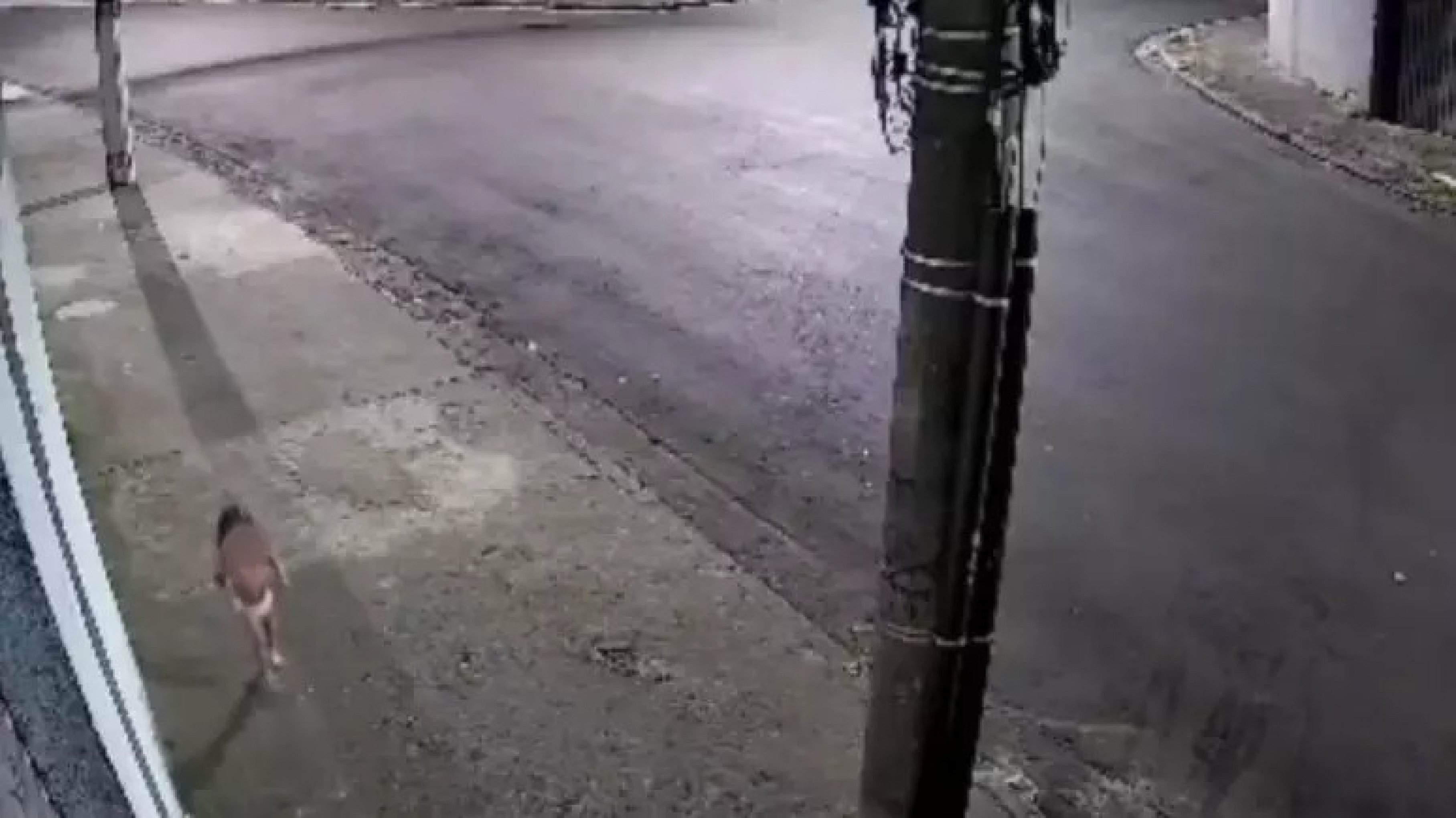 VÍDEO: Criança de três anos é encontrada andando sozinha na rua e vestindo apenas uma fralda