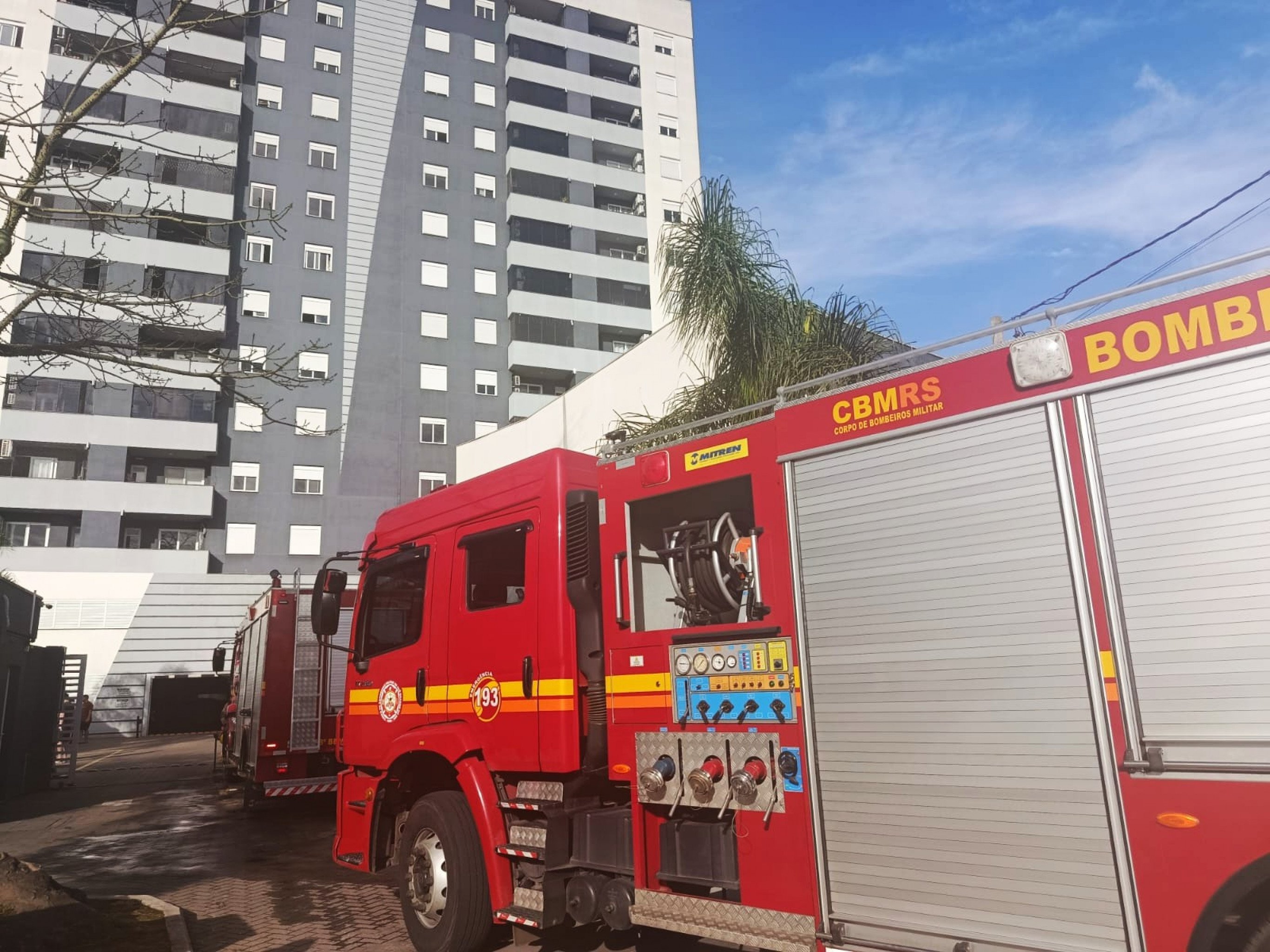 Gato morre asfixiado pela fumaça durante incêndio em prédio de Canoas