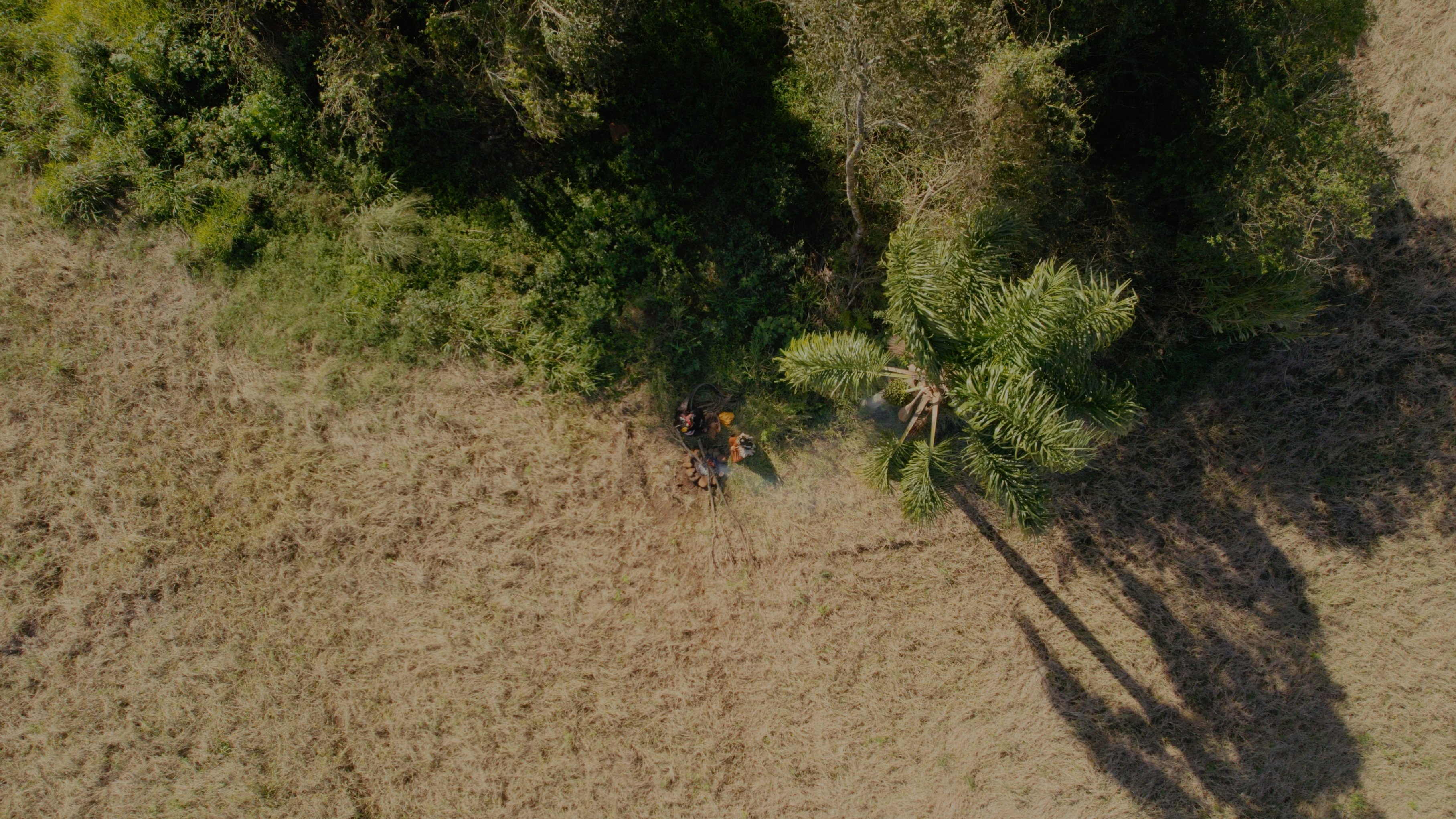Documentário sobre a imigração alemã será exibido de forma gratuita no Festival da Cachaça